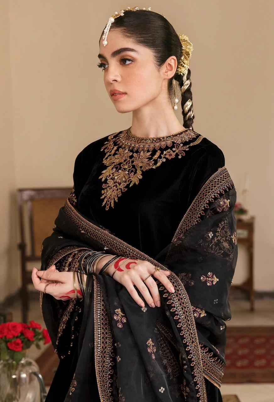 Luxury | Velvet | Embroidered | 3 pcs