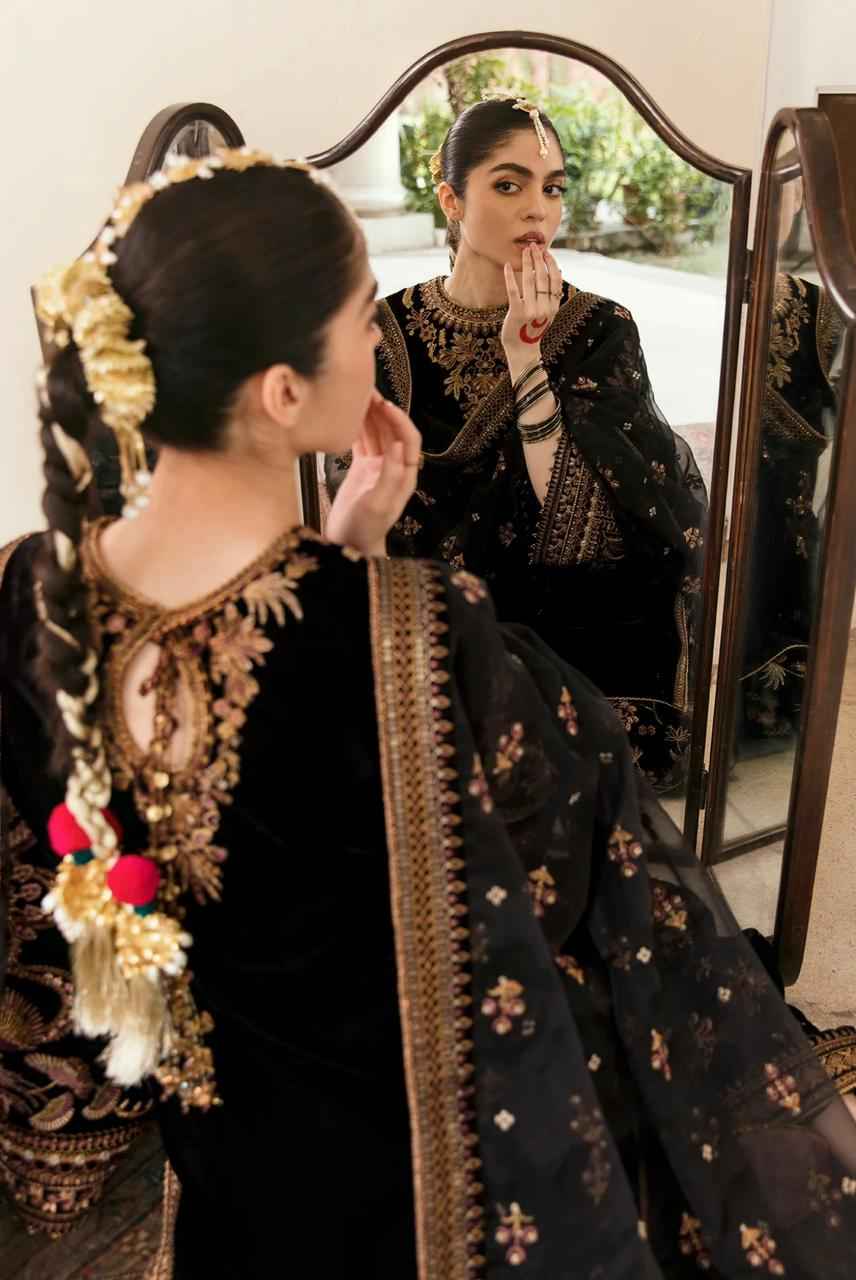 Luxury | Velvet | Embroidered | 3 pcs